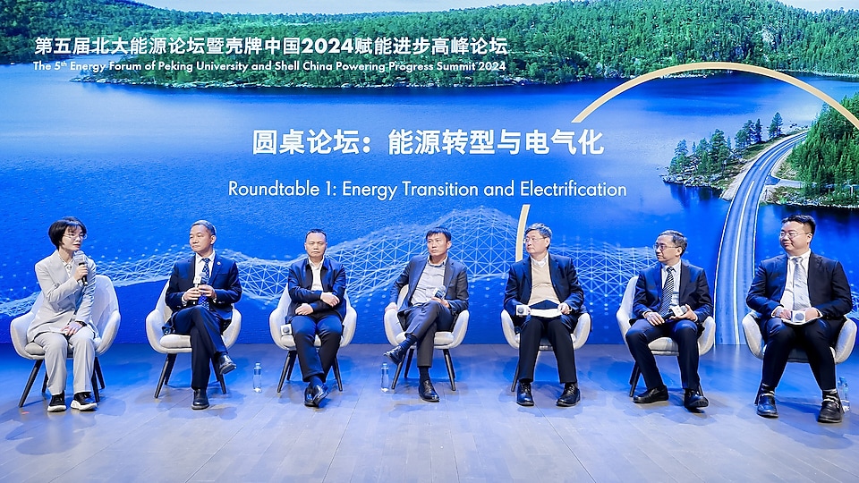 圖注:“能源轉型與電氣化”圓桌論壇