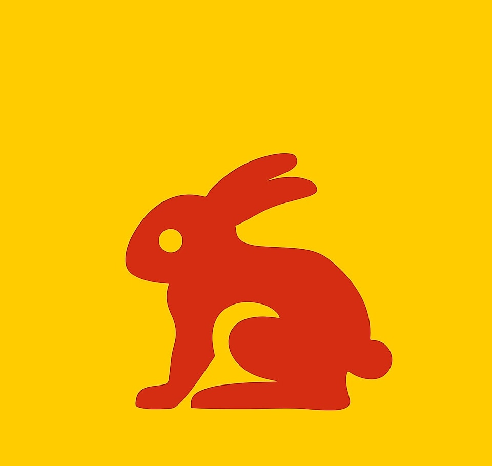 兔子圖片